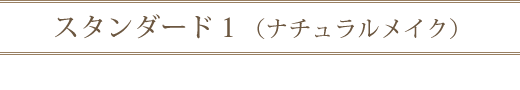 ¥¹¥¿¥ó¥À¡¼¥É£±
