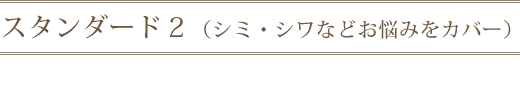 ¥¹¥¿¥ó¥À¡¼¥É£²