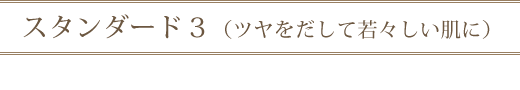 ¥¹¥¿¥ó¥À¡¼¥É£³