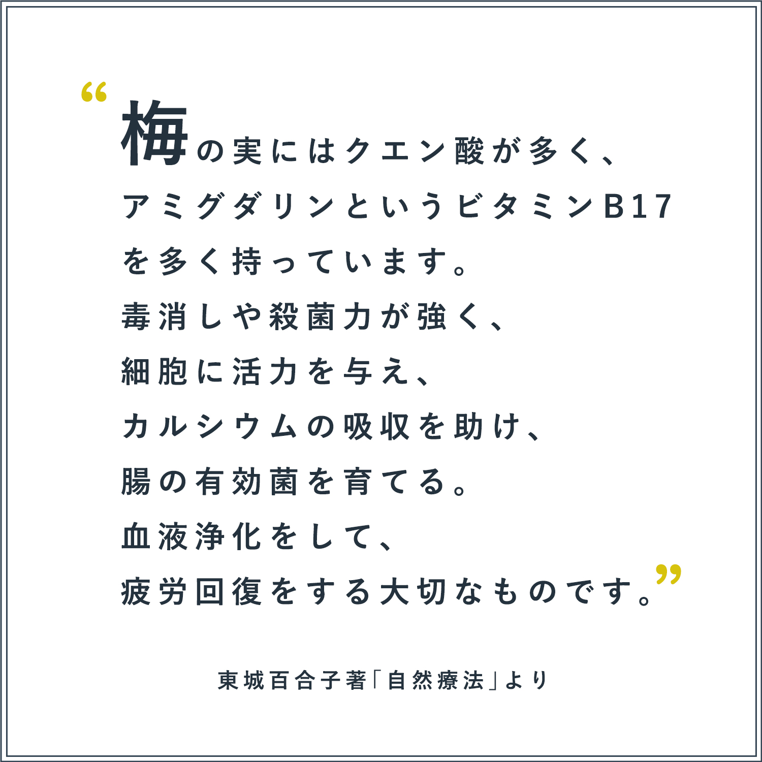 東城百合子著「自然療法」より