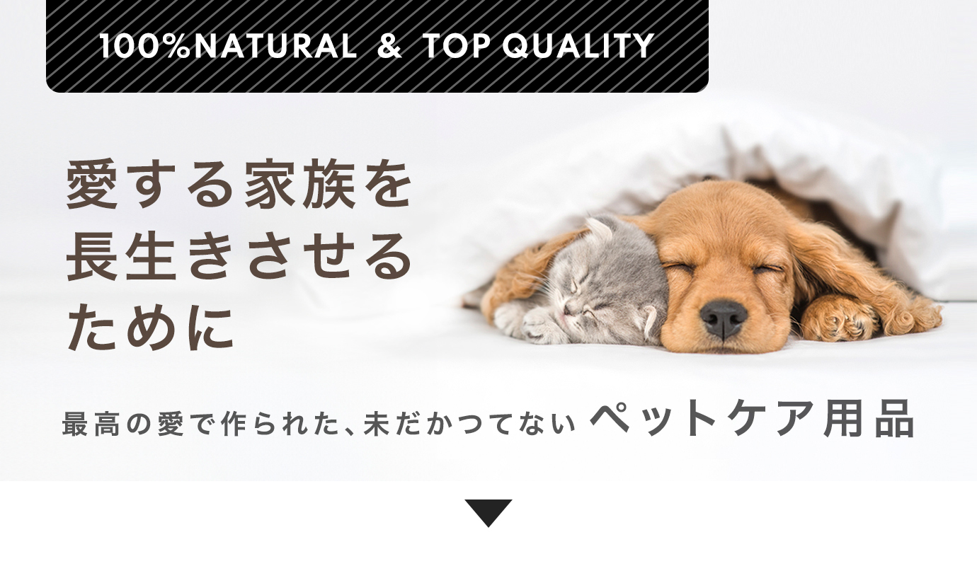 犬・猫用アイテム