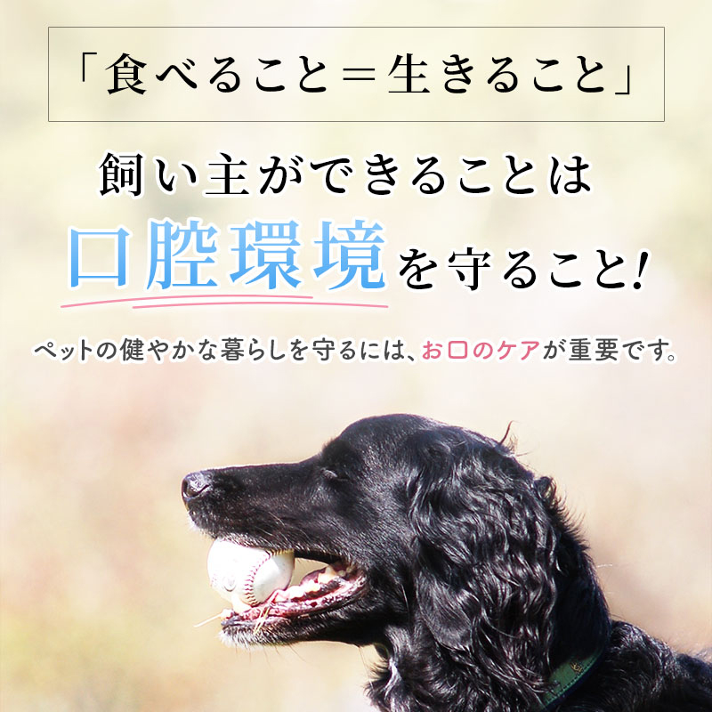 ヴィジョンズ,動物,犬用,,天然由来,歯磨き粉.,身体に優しい,犬用