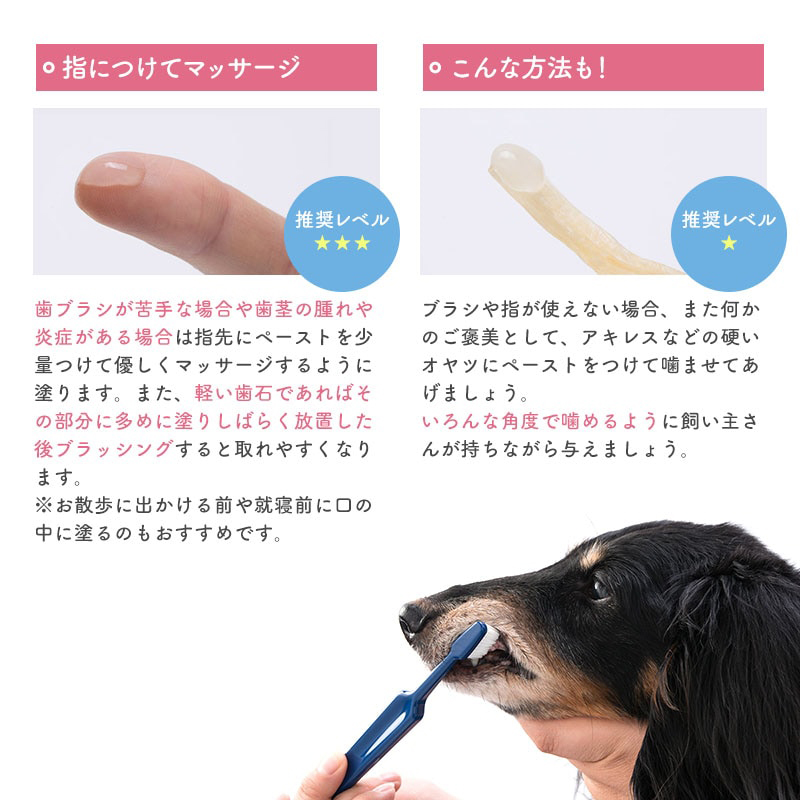 ヴィジョンズ,動物,犬用,,天然由来,歯磨き粉.,身体に優しい,犬用