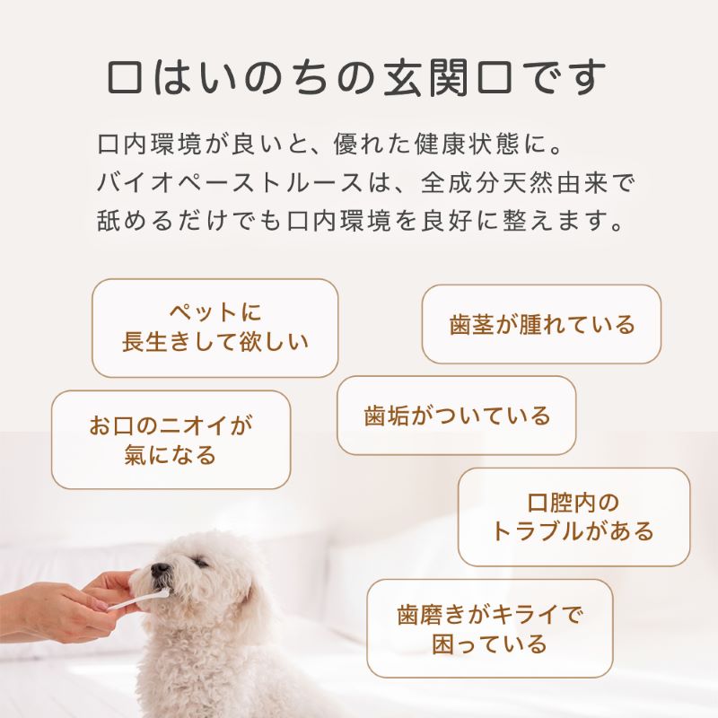 歯磨き粉,犬用,ドッグ,通販